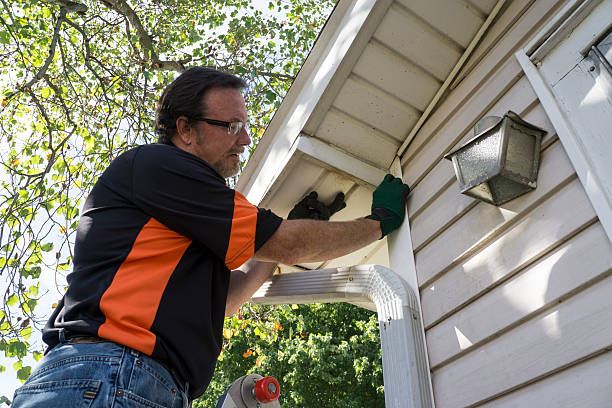 Best Stone Veneer Siding  in Rising Sun, MD